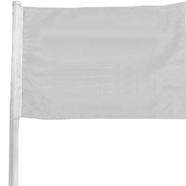 Custom Printed 2-Sided Car Flag