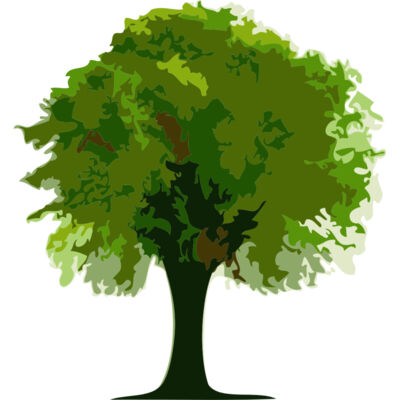 Tree 1 Thumbnail