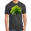 Core Cotton Ringer Tee Thumbnail