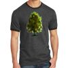 Core Cotton Ringer Tee Thumbnail